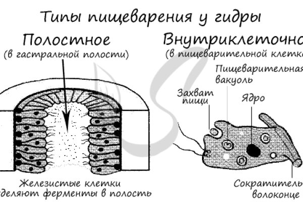 Как восстановить пароль на кракене