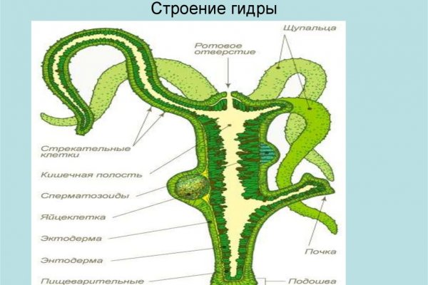 Кракен магазин наркотиков