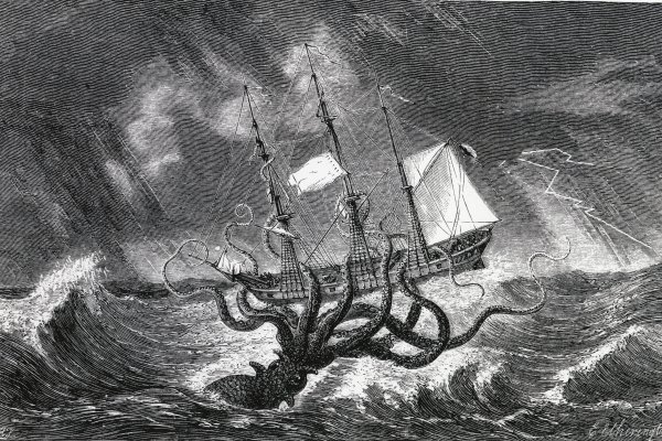 Kraken актуальное